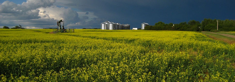 Exclusiveness of the flexitanks in Canada, certified and permitted by CN Rail.